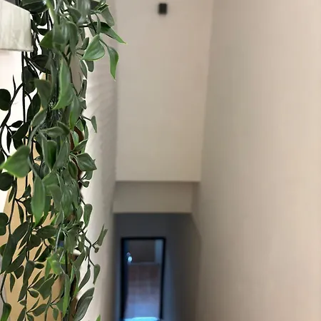Appartement Ilia12 *